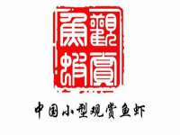 盐城木子信息咨询有限公司
