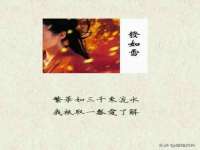 盐城木子信息咨询有限公司