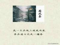 盐城木子信息咨询有限公司