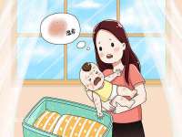 盐城木子信息咨询有限公司