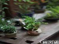 盐城木子信息咨询有限公司