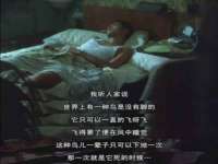 盐城木子信息咨询有限公司