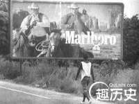 盐城木子信息咨询有限公司