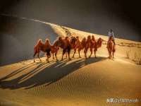 盐城木子信息咨询有限公司
