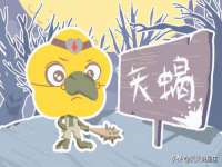 盐城木子信息咨询有限公司