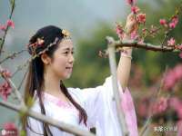 盐城木子信息咨询有限公司