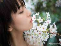 盐城木子信息咨询有限公司