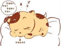 盐城木子信息咨询有限公司