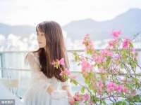 盐城木子信息咨询有限公司