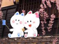 盐城木子信息咨询有限公司