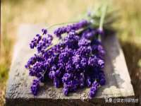 盐城木子信息咨询有限公司