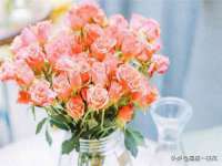 盐城木子信息咨询有限公司
