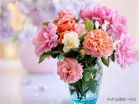 盐城木子信息咨询有限公司