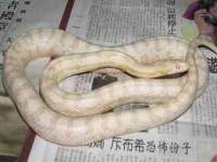 盐城木子信息咨询有限公司