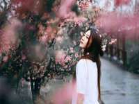盐城木子信息咨询有限公司