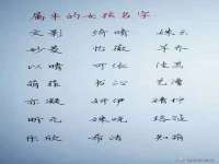盐城木子信息咨询有限公司